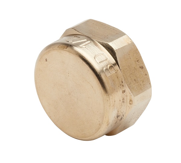 BOUCHON FEMELLE JPG 1" NF540 BOU115 8245301